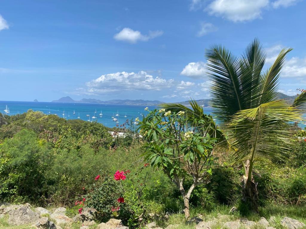 Superbe Appartement Vue Sur Mer Sainte-Anne Εξωτερικό φωτογραφία
